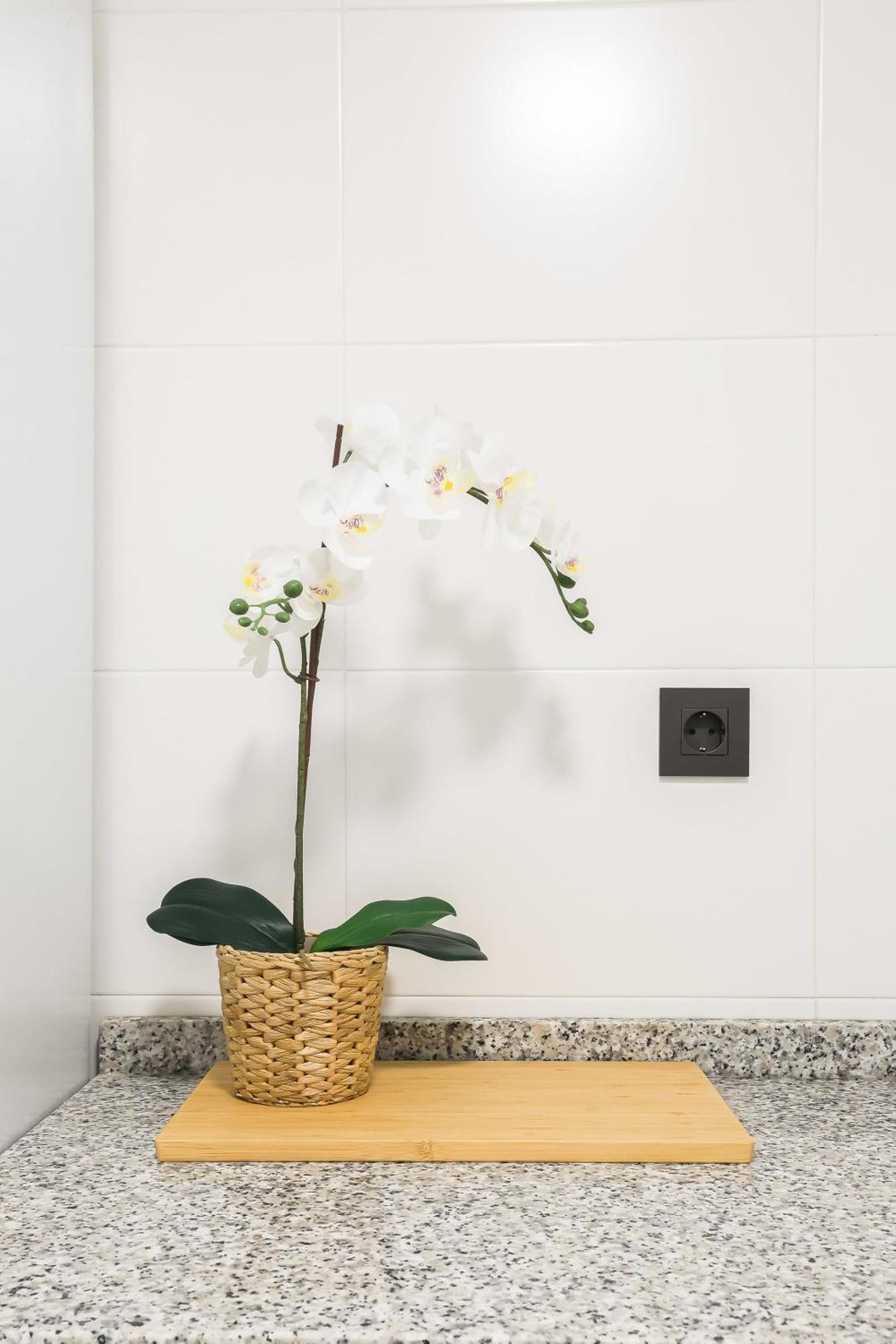 Apartamento Palermo Living Suites En 부리아나 외부 사진